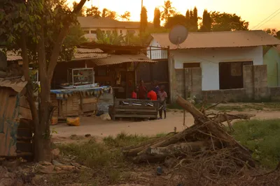 DSC_4184 (Large).JPG